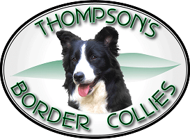 hlf-logo-thompsonbordercollies