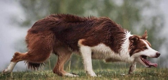 we should be able to click and enlarge this (Open in new tab is ok if that's the easiest option)