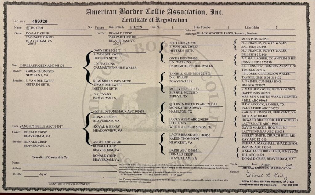 TBC Gem Certificate of Registration 2025 August 4